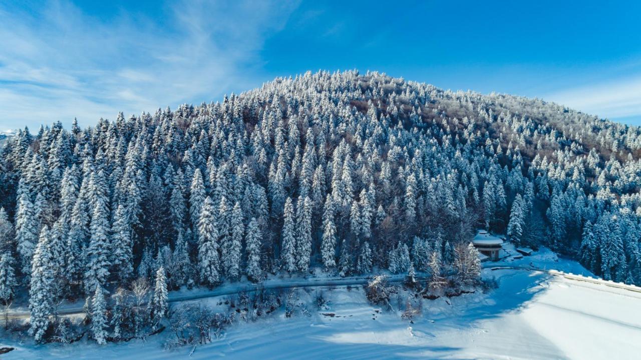 Hotel Sport, Resort Mavrovo Eksteriør billede